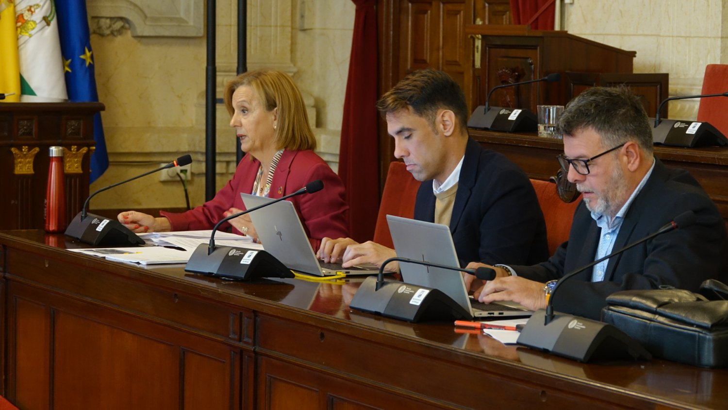 El PSOE lamenta que el PP no reconozca “el abandono de zonas verdes y árboles en Málaga por la falta de personal”