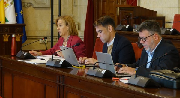El PSOE lamenta que el PP no reconozca “el abandono de zonas verdes y árboles en Málaga por la falta de personal”