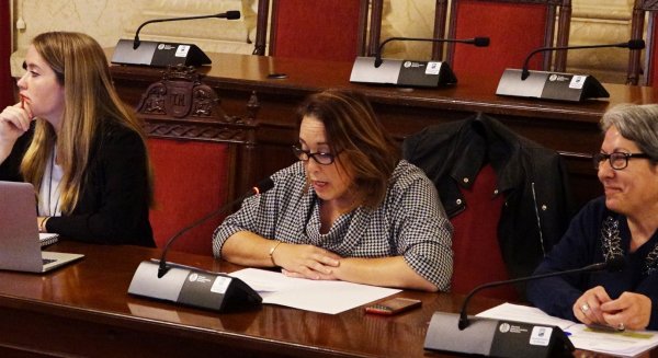 El PSOE de Málaga califica de “irreal“ el informe de vivienda presentado por el Ayuntamiento de la ciudad