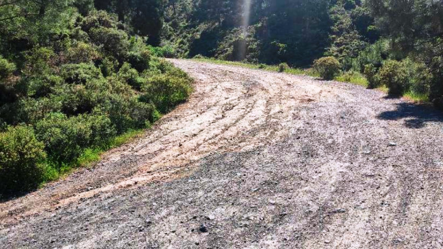 Diputación invierte 1,6M€ en nuevos miradores y mejoras de carriles y aparcamientos en la Sierra de las Nieves