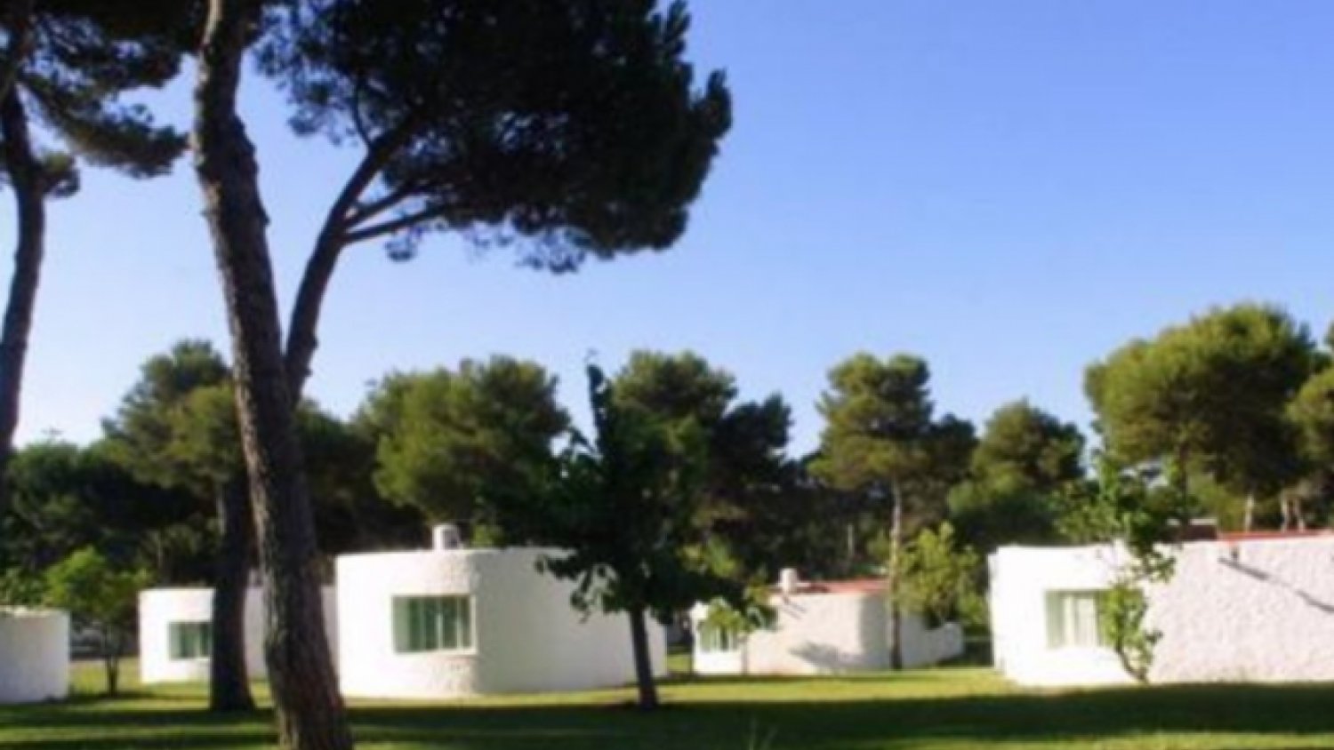 CCOO critica la “tensión” vivida en el Pleno de Marbella al debatir el cierre de la residencia de tiempo libre