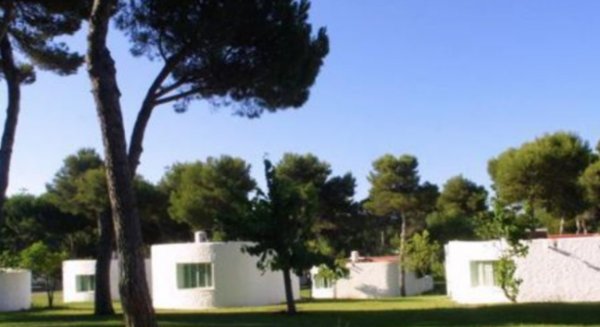 CCOO critica la “tensión” vivida en el Pleno de Marbella al debatir el cierre de la residencia de tiempo libre