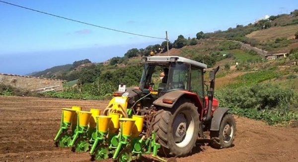 Analistas económicos afirman que Andalucía genera alrededor del 31% del VAB del sector agrario en España