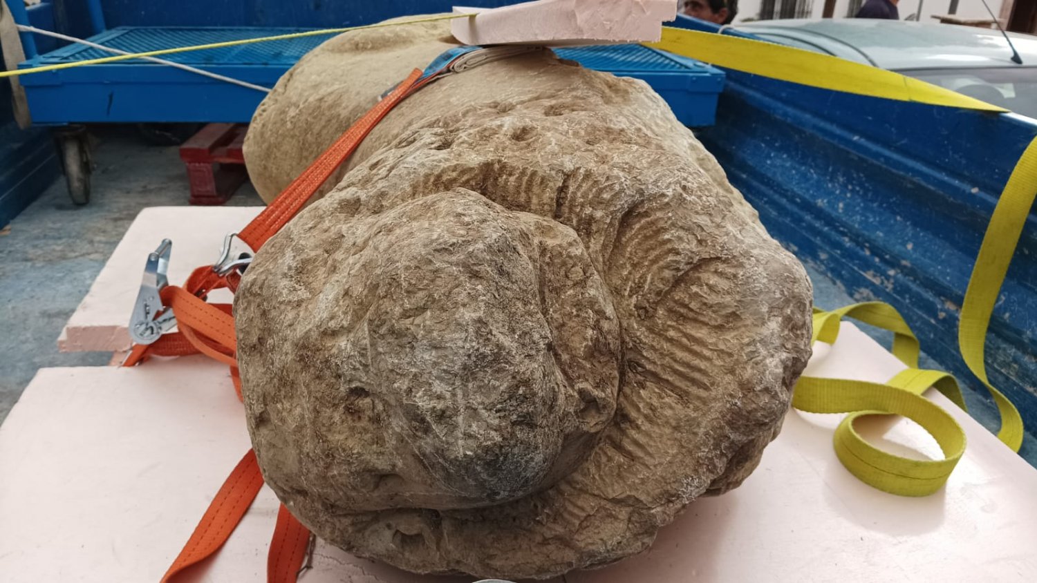 Localizado un león íbero de grandes dimensiones en el municipio de Villanueva de la Concepción  