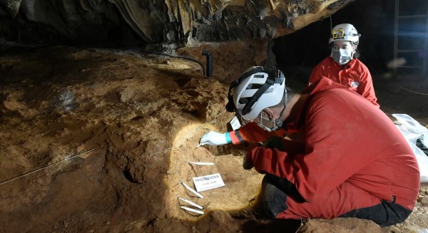 Un proyecto de National Geographic une a investigadores de seis países en las cuevas de Rincón de la Victoria