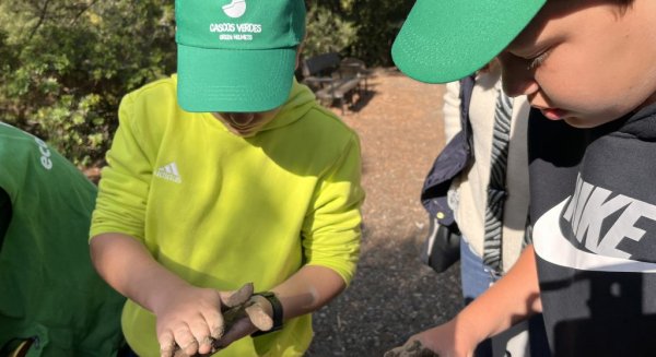 La Junta colabora con CIFAL Málaga y Amazon para llevar a cabo actividades de educación ambiental y sensibilización