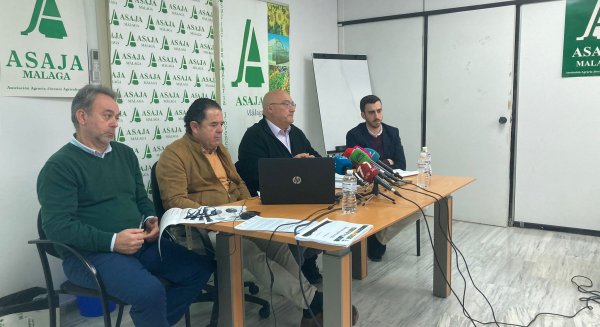ASAJA Málaga: “La sequía nos lleva a una debacle en el balance agrario de la provincia”