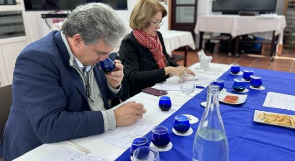 Las almazaras Finca La Torre, Terraverne y El Labrador, mejores AOVE de la provincia por la Diputación