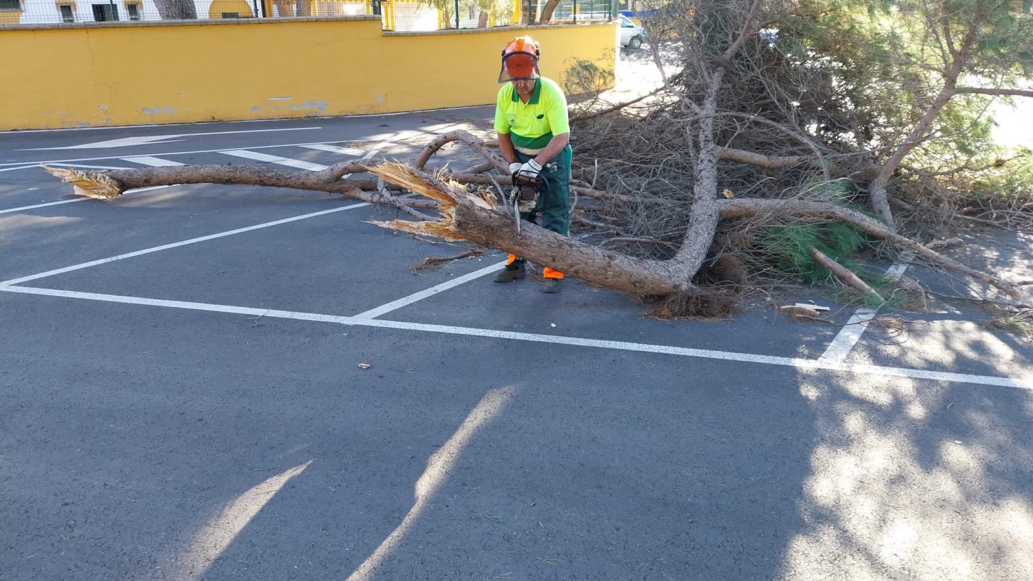 Marbella atiende más de 60 incidencias por las fuertes rachas de viento en la noche del 20 de diciembre