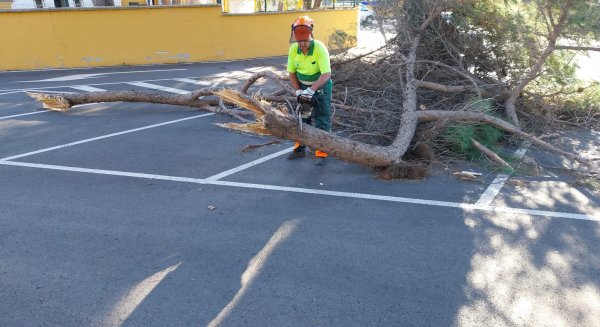 Marbella atiende más de 60 incidencias por las fuertes rachas de viento en la noche del 20 de diciembre