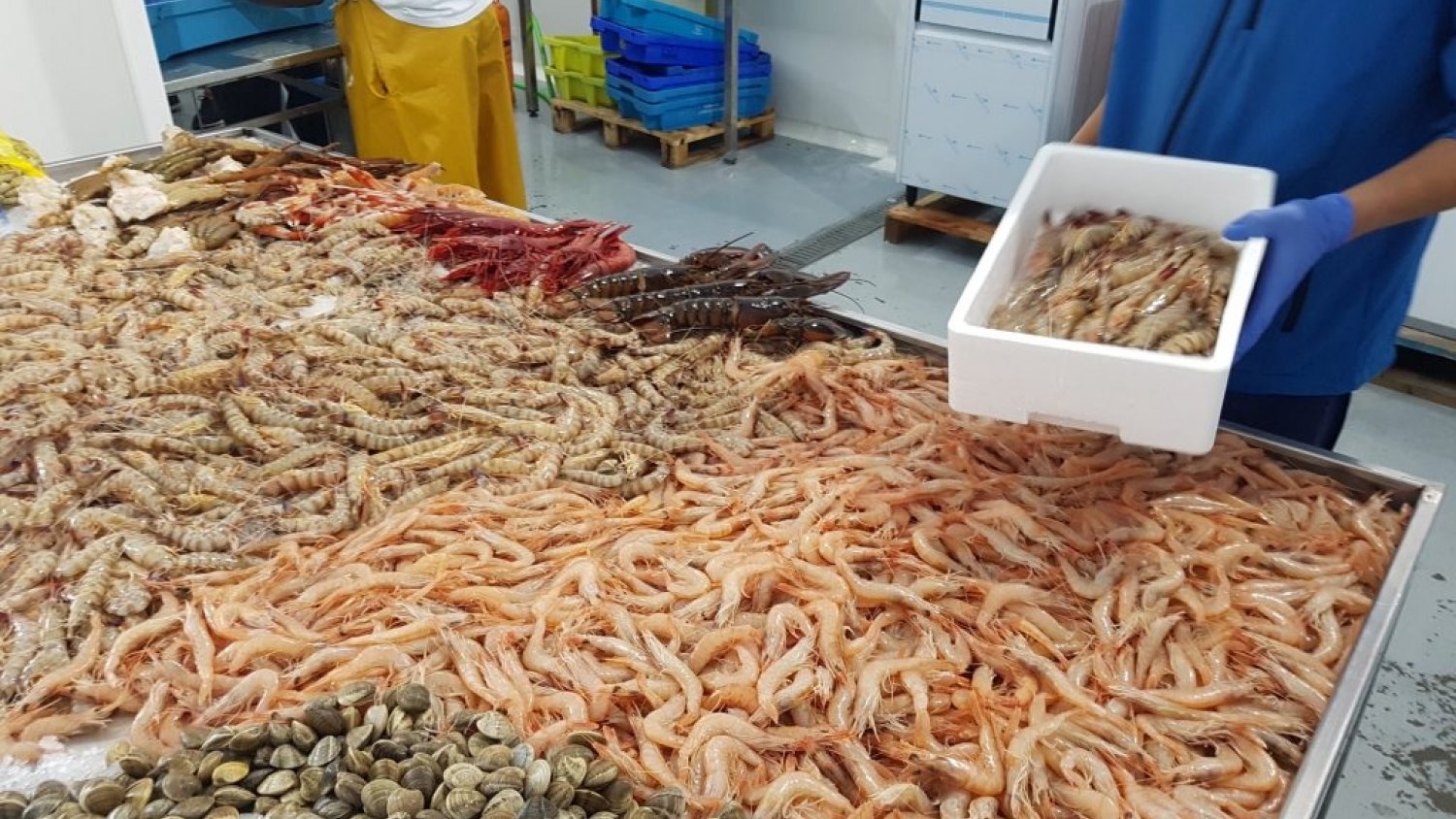 Récord de exportaciones andaluzas de pescados y mariscos: crecen un 48% en los primeros cinco meses del año