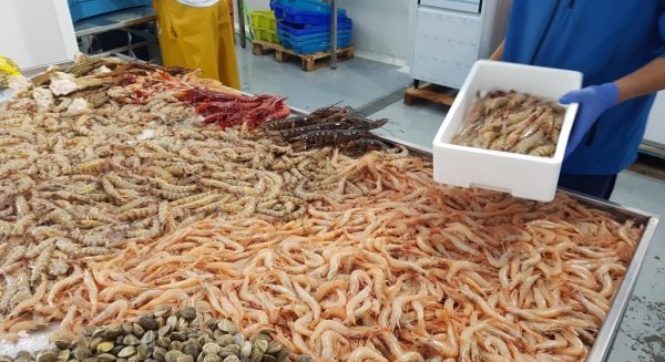 Récord de exportaciones andaluzas de pescados y mariscos: crecen un 48% en los primeros cinco meses del año