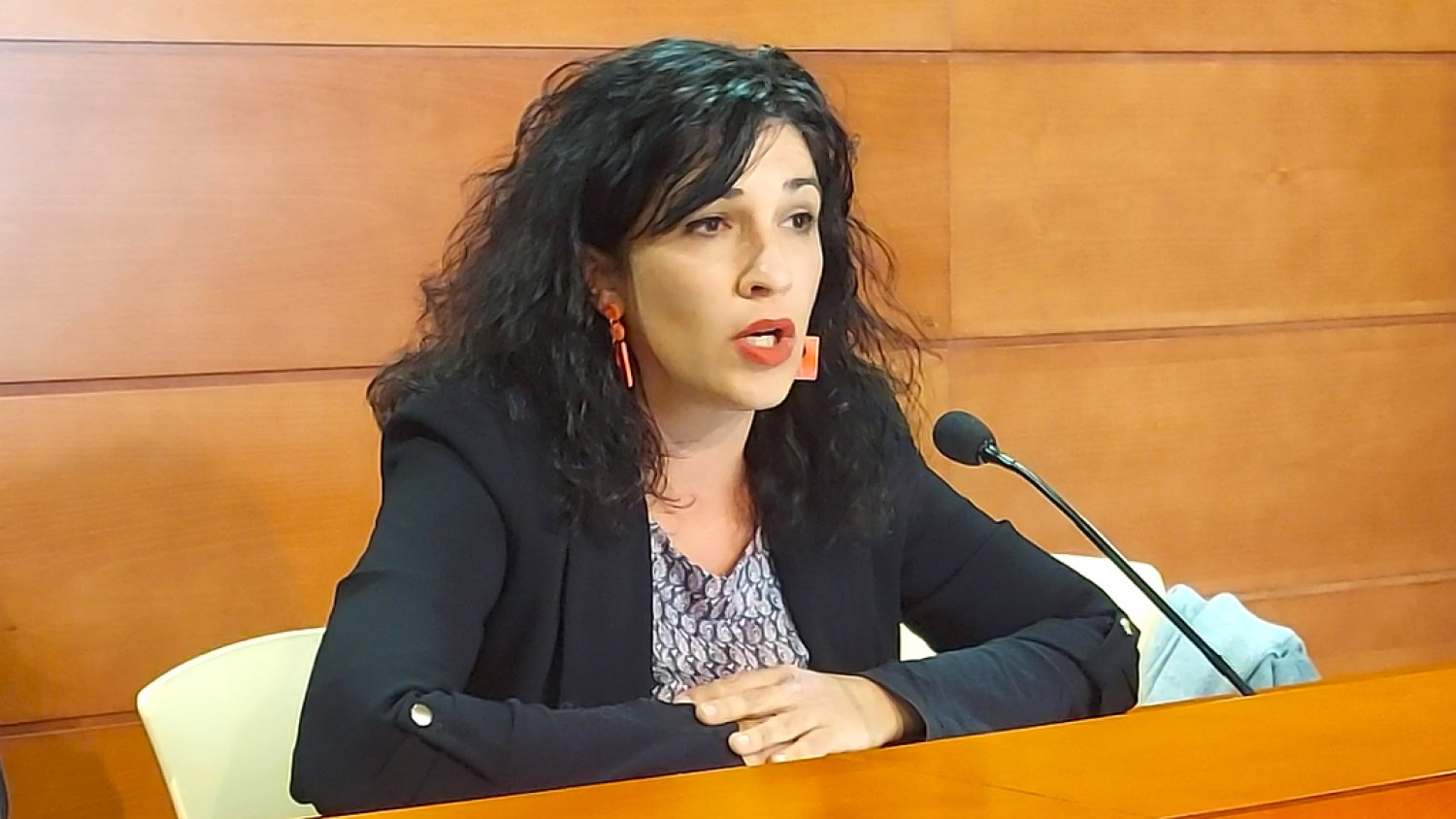 Con Málaga pide reforzar en Navidad el control del uso irregular de la pirotecnia por convivencia e inclusión