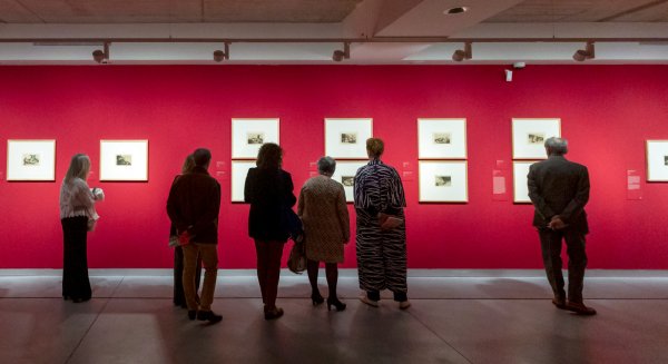 Más de 3.000 personas han visitado ya la exposición ‘Goya. Desastres de la Guerra’ en Estepona