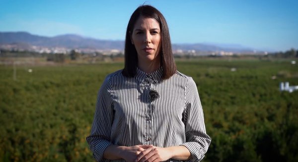 Vox Málaga califica de “auténtica vergüenza” la situación del sector del limón en Andalucía