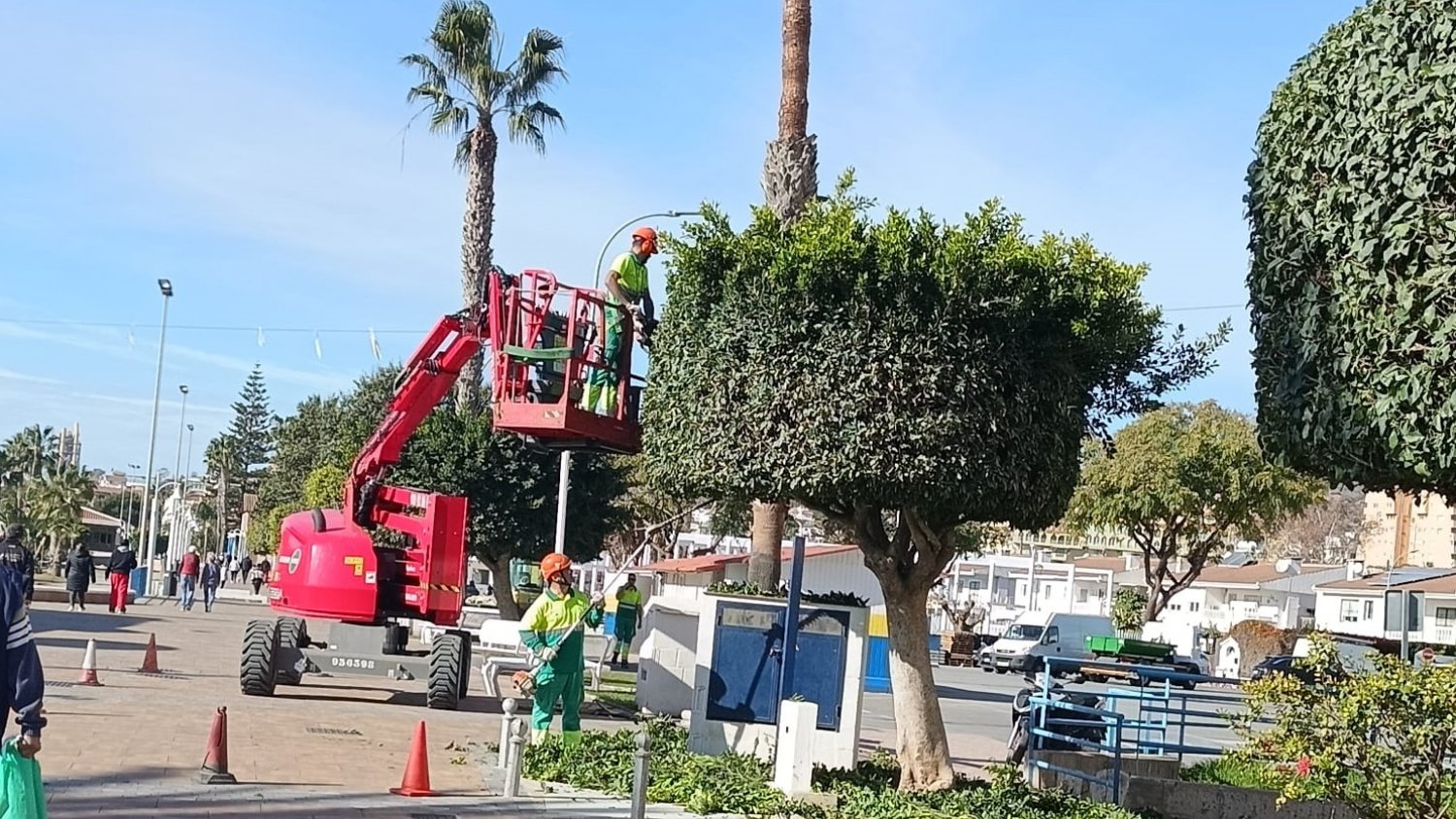 El Ayuntamiento de Rincón de la Victoria avanza en los trabajos de poda del arbolado urbano del municipio