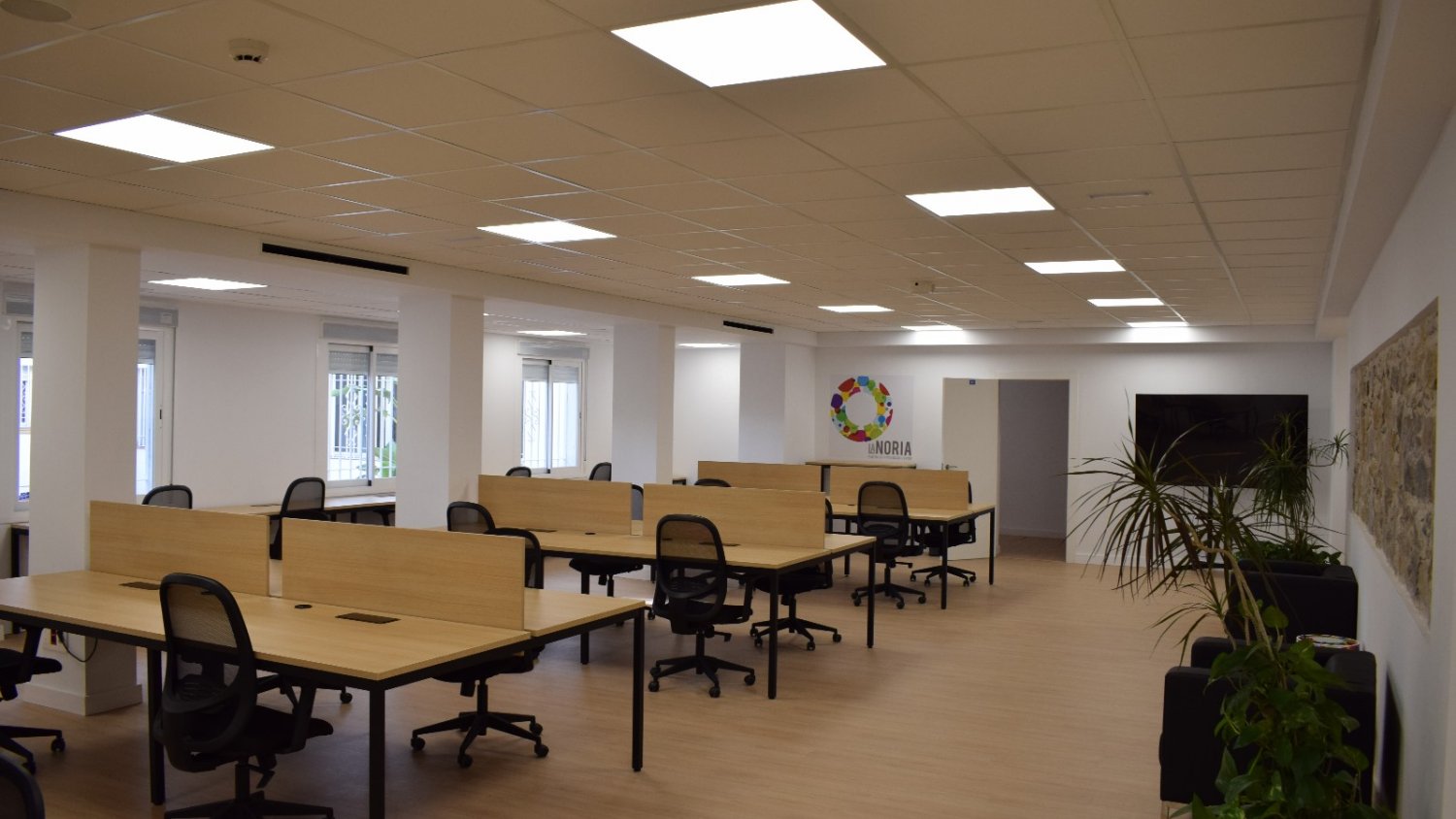 La Noria abre la nueva convocatoria de ayudas para el impulso de la innovación social digital en Málaga