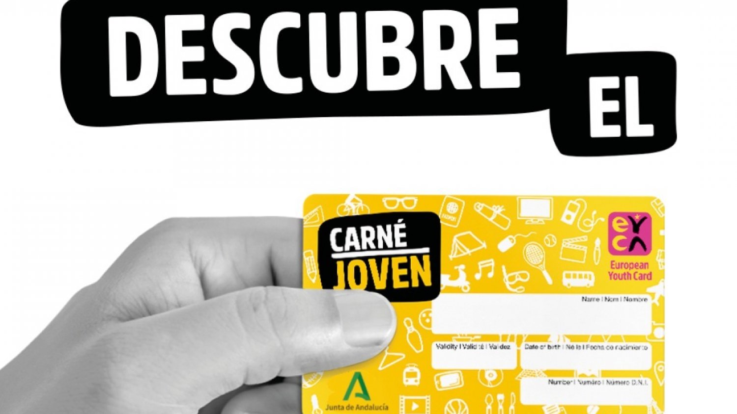Torremolinos ofrece descuentos en deporte y educación para los usuarios del Carné Joven de Andalucía
