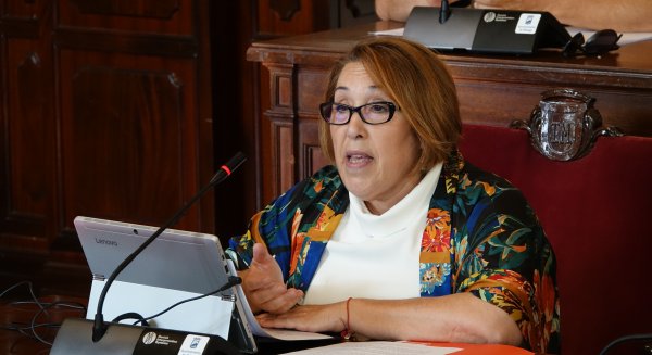 PSOE pide al Ayuntamiento la puesta en marcha de un plan de limpieza y mantenimiento de solares