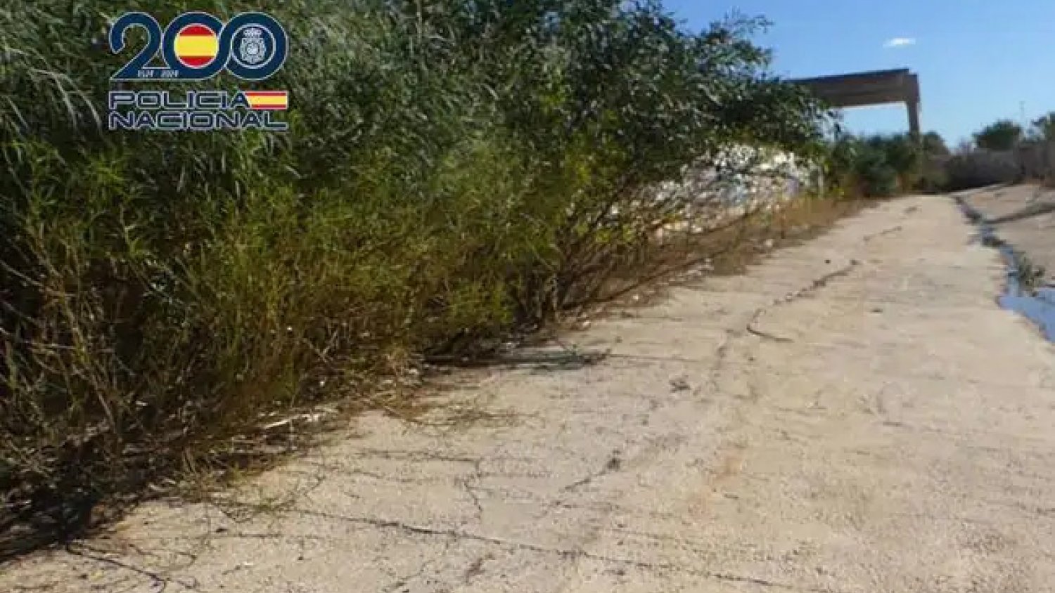 Detenido el autor del asesinato de una mujer cuyo cuerpo fue hallado en un arroyo de Málaga