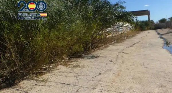 Detenido el autor del asesinato de una mujer cuyo cuerpo fue hallado en un arroyo de Málaga