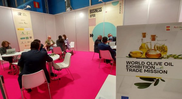Andalucía afianza su liderazgo mundial de venta de aceite de oliva al aumentar sus exportaciones un 22,7%