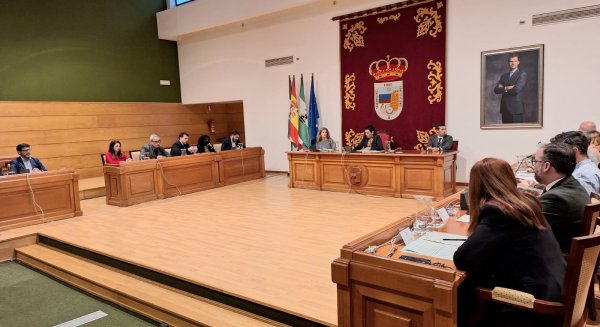 El pleno de Torremolinos salva los reparos para ejecutar inversiones para mejorar infraestructuras hídricas