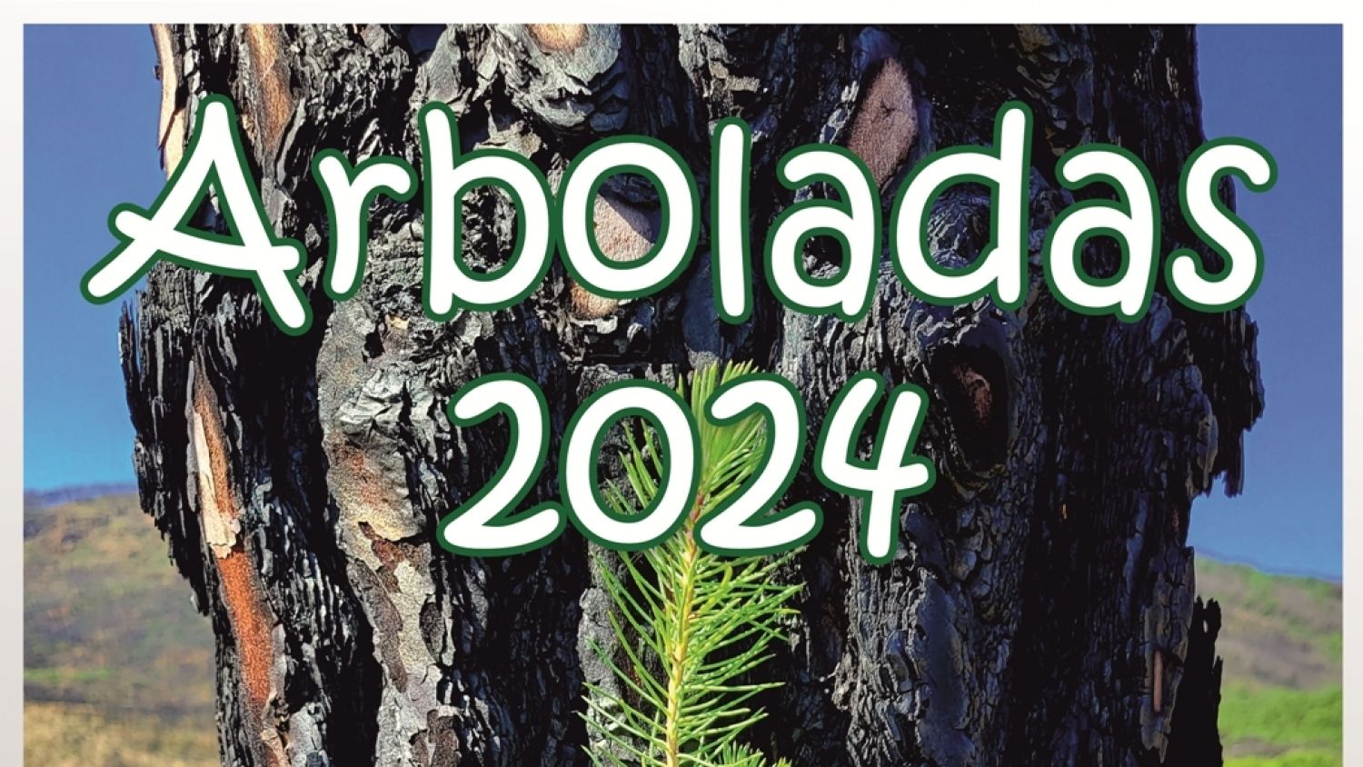 La Diputación de Málaga organiza tres nuevas jornadas de 'Arboladas' en Villanueva de Rosario, Manilva y Cártama