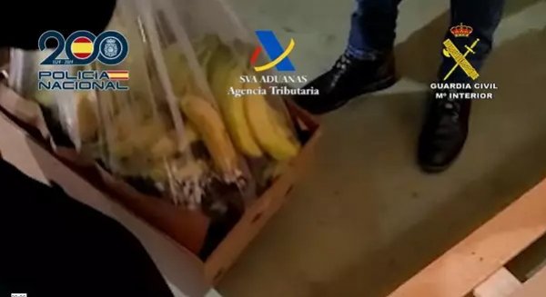 Incautados en el Puerto de Málaga 1.822 kilos de cocaína ocultos en contenedores procedentes de Sudamérica 