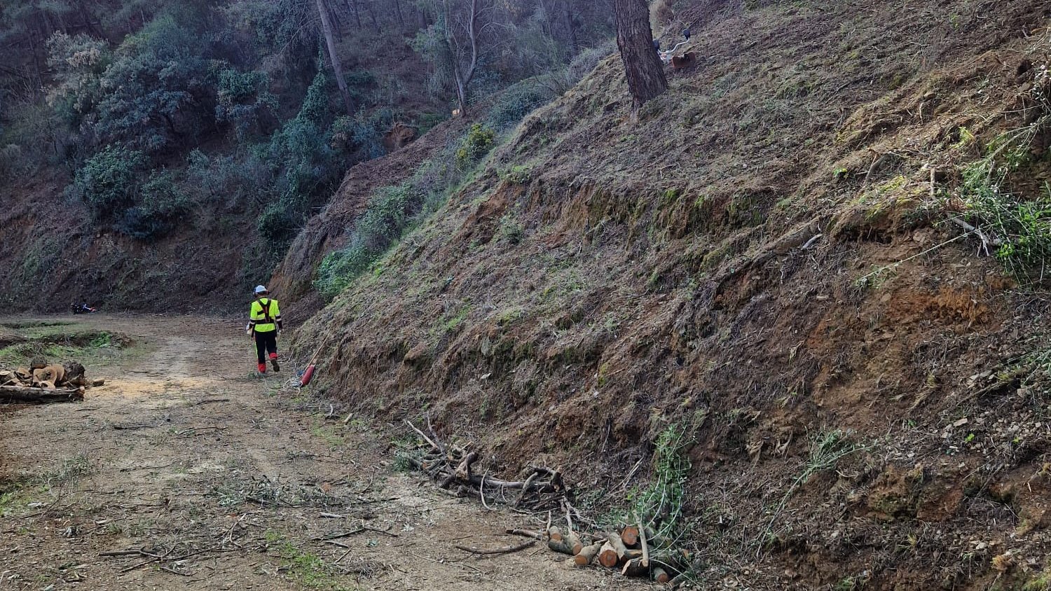 La Junta inicia los trabajos preventivos de incendios en los Montes de Málaga 