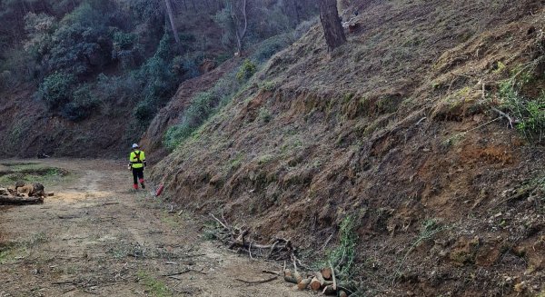 La Junta inicia los trabajos preventivos de incendios en los Montes de Málaga 