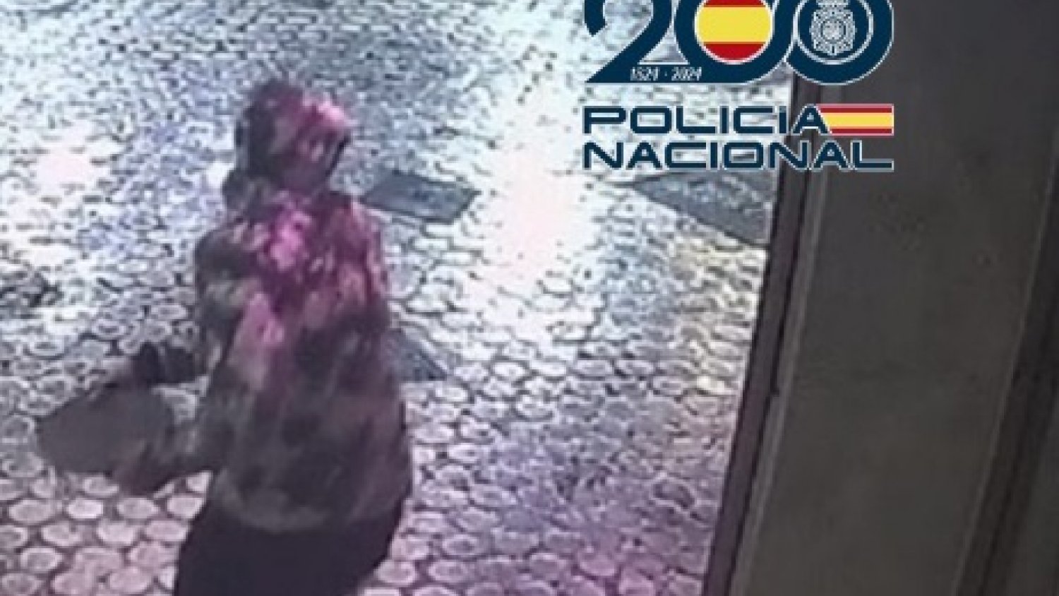 Detienen a dos hombres responsables de diez robos en locales comerciales del distrito centro de Málaga