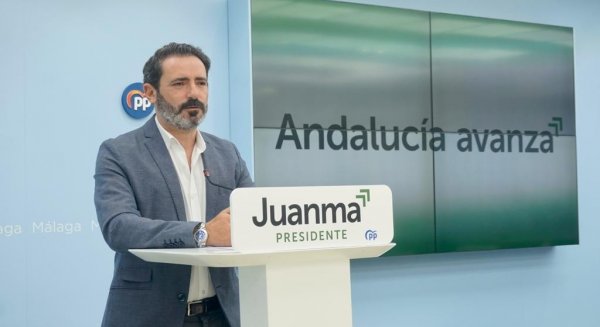 PP destaca que los recortes del Gobierno de la PAC al olivar ponen en riesgo la viabilidad de este cultivo en Antequera