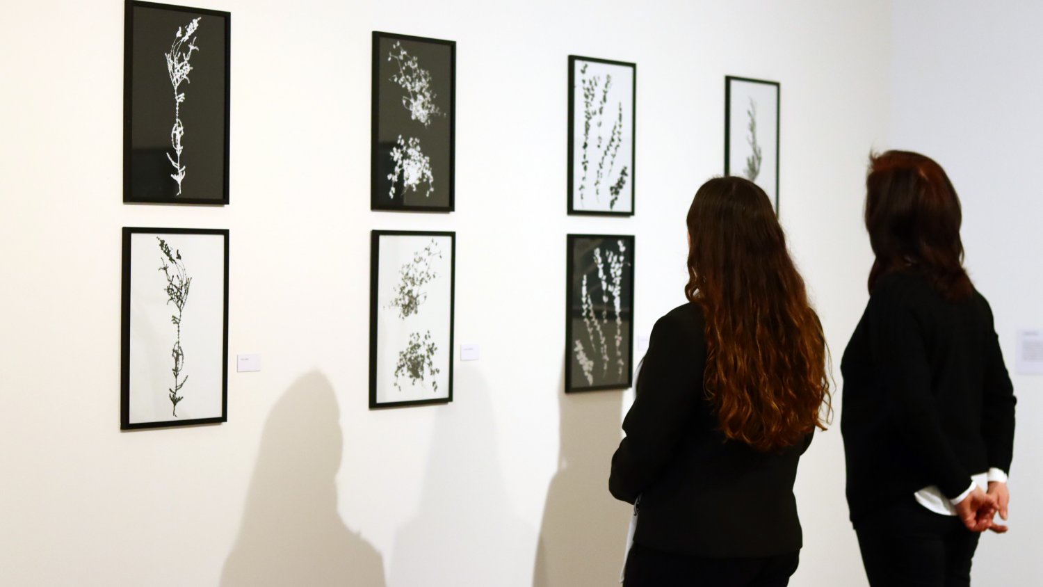 El Centro Cultural Fundación Unicaja de Antequera inaugura la exposición fotográfica ‘Entre luces y sombras’ 