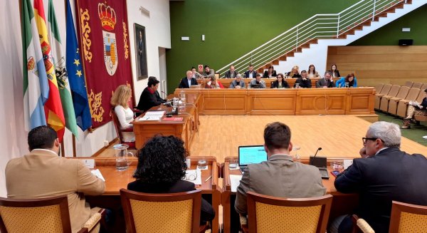 El pleno de Torremolinos aprueba apoyar e impulsar las acciones relativas al Día Internacional de la Mujer