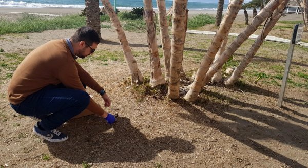 Rincón de la Victoria analiza cerca de una veintena de muestras de heces de perros en los espacios públicos 