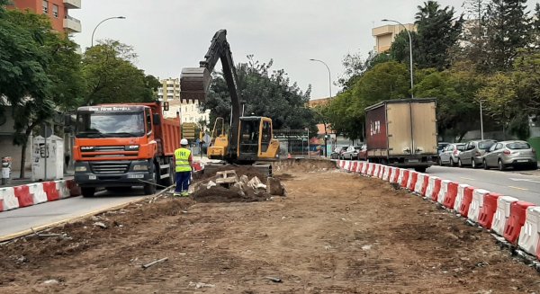 Las obras de Prolongación del Metro de Málaga avanzan con los primeros trasplantes de árboles 