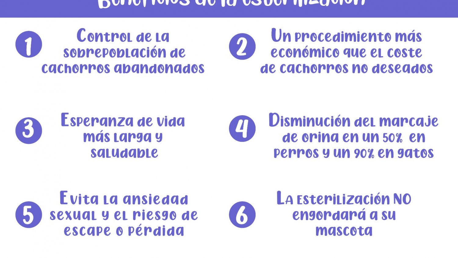El Ayuntamiento de Campillos pone en marcha una nueva campaña de esterilización de perros y gatos