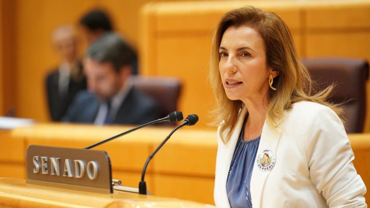 El PP pide un plan nacional de prevención del suicidio y más plazas MIR en salud mental