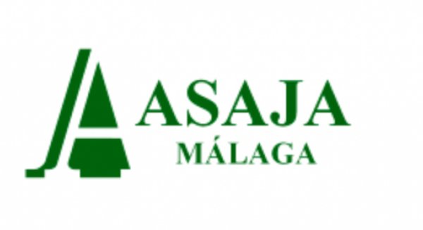 ASAJA Málaga valora positivamente el impacto de las recientes lluvias en la provincia