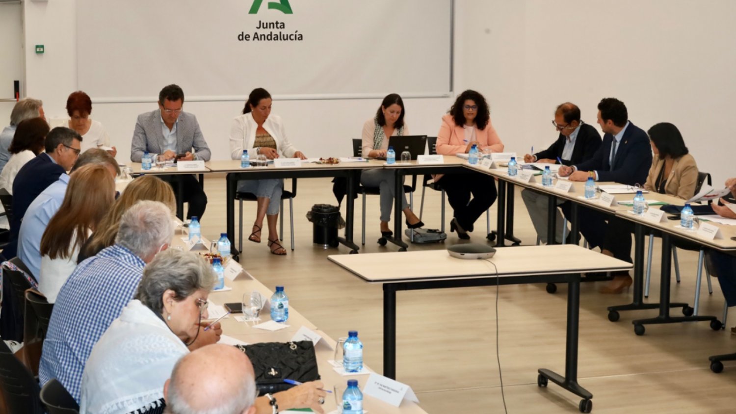 Inclusión Social saca a consulta pública la renovación del decreto del Consejo Andaluz de Personas Mayores