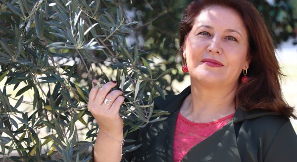 Las exportaciones de aceite de oliva crecen en Andalucía un 80,6% durante el mes de enero de 2024