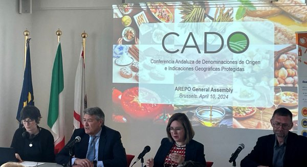 Andalucía oficializa su candidatura a la vicepresidencia de Arepo en la asamblea del ente europeo