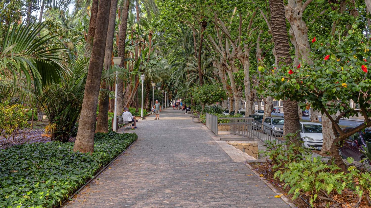 El Paseo del Parque de Málaga acoge la primera Final Escolar de Ajedrez 