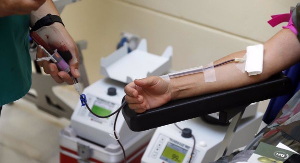 El Centro Regional de Transfusión convoca campaña extraordinaria de donación de sangre en colaboración con el Málaga CF 