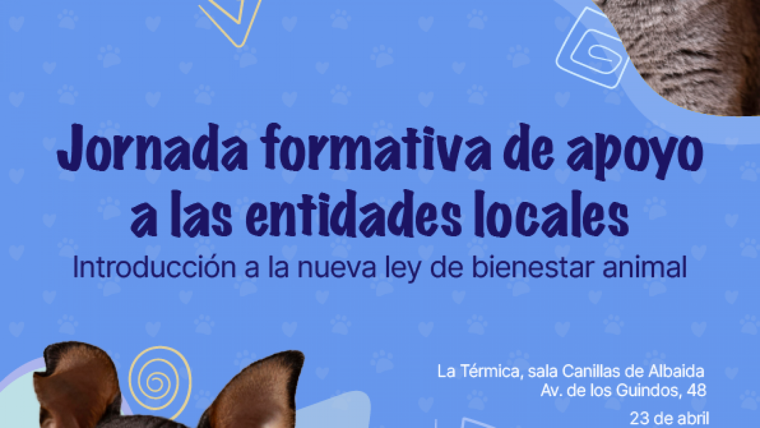 La Diputación de Málaga celebra una jornada formativa para entidades locales sobre la nueva ley de bienestar animal