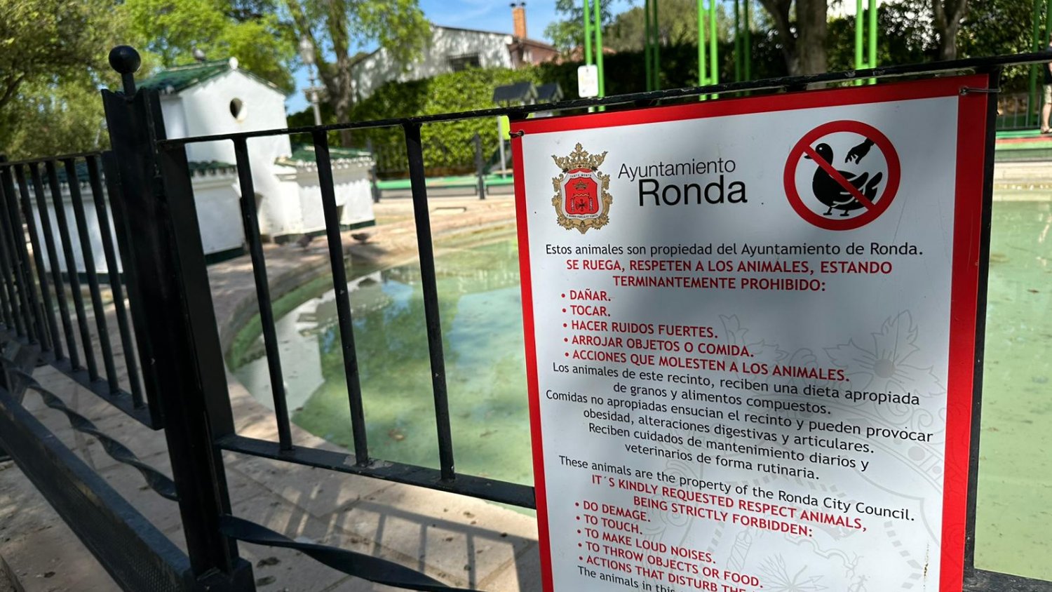Ronda denuncia actos vandálicos contra patos que vivían desde hace años en el estanque de La Alameda del Tajo