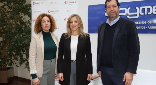 Diputación de Málaga y Cámara de Comercio forman a 60 empresas para avanzar en procesos de internacionalización