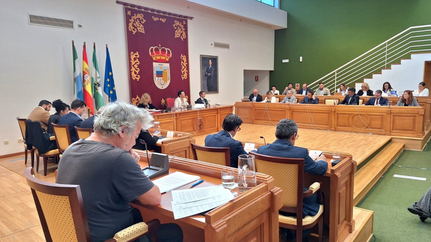 El pleno de Torremolinos aprueba inicialmente la Ordenanza Municipal Reguladora de la Zona de Bajas Emisiones