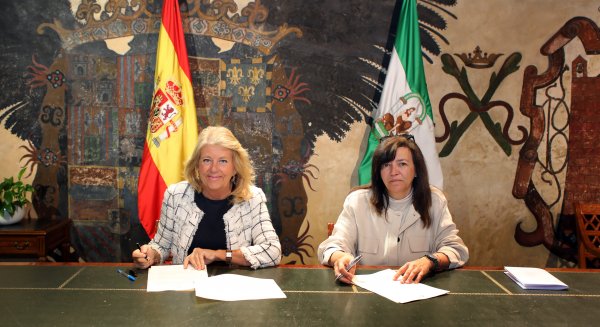 Marbella aumenta en un 40% los informes urbanísticos del primer cuatrimestre del año con respecto al mismo en 2023